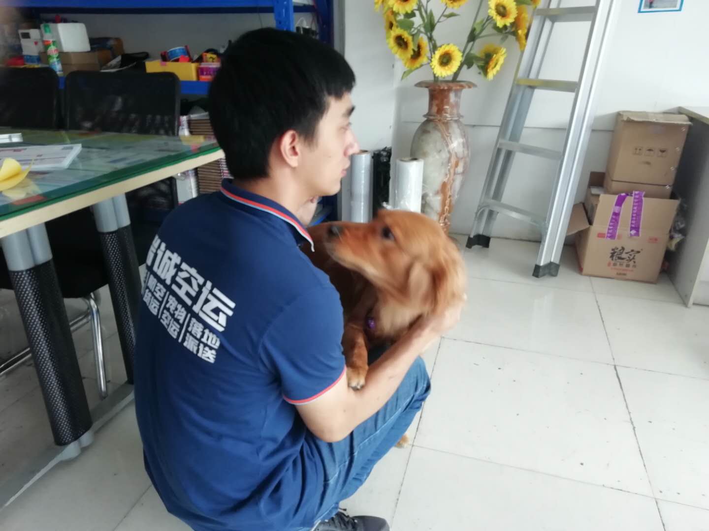 寵物航空托運