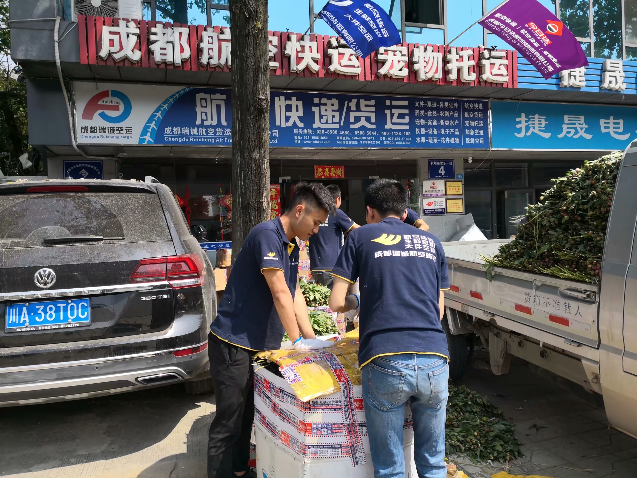 樹(shù)苗空運(yùn)當(dāng)天件-四川民航機(jī)場(chǎng)空運(yùn)物流