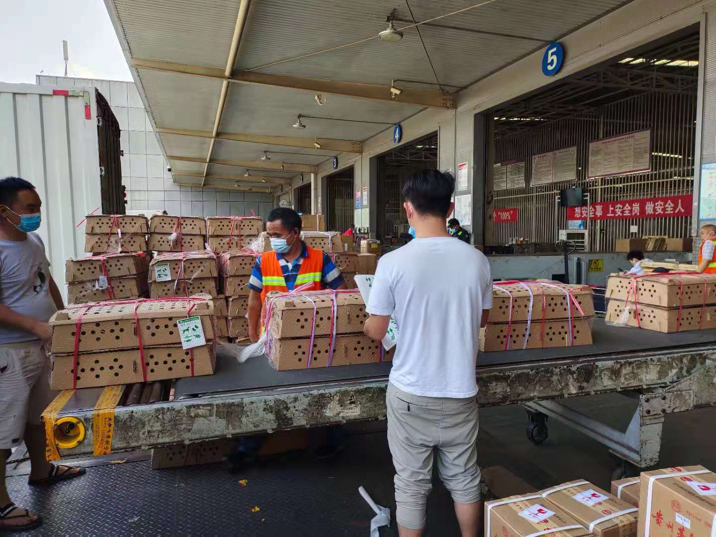 天府機(jī)場航空貨運(yùn)部