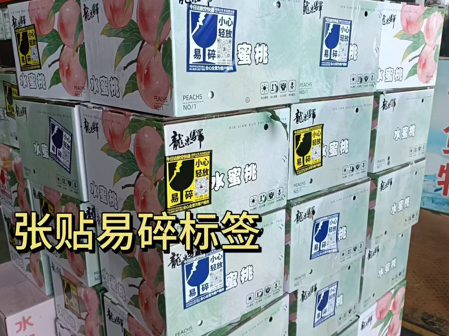 20250731b9def87170c6d5cbd206a6d35071fc6c.jpg 20250731b9def87170c6d5cbd206a6d35071fc6c.jpg